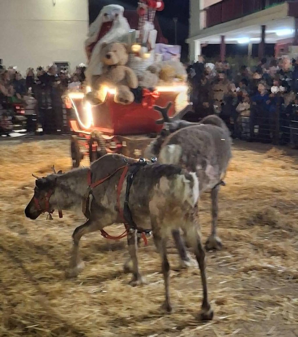 Los renos navideños de Antonio&nbsp;Vicente