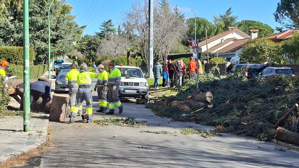 Vendavales y buen servicio de los trabajadores&nbsp;municipales