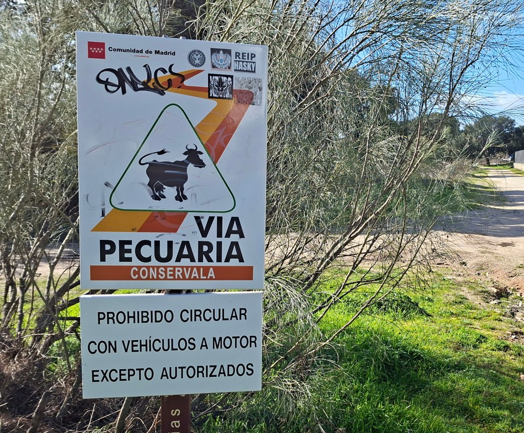 Identificada la Vía Pecuaria por la que la CAM ha sancionado al&nbsp;Ayuntamiento