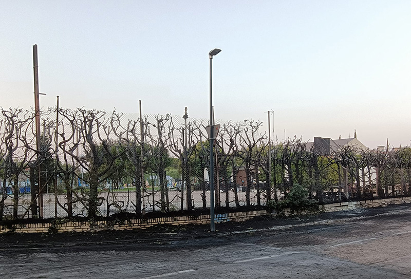 LECCIONES A APRENDER DE LOS INCENDIOS&nbsp;URBANOS
